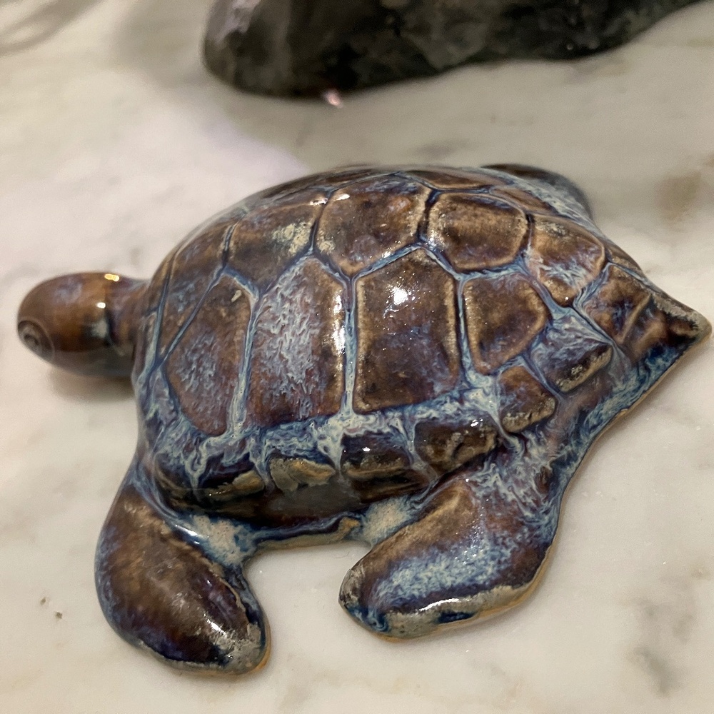 Sea Turtle - Picture 6 of 11